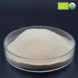 Oragnic Yeast Extract Nutritional Powder