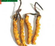 Organic Cordyceps Powder