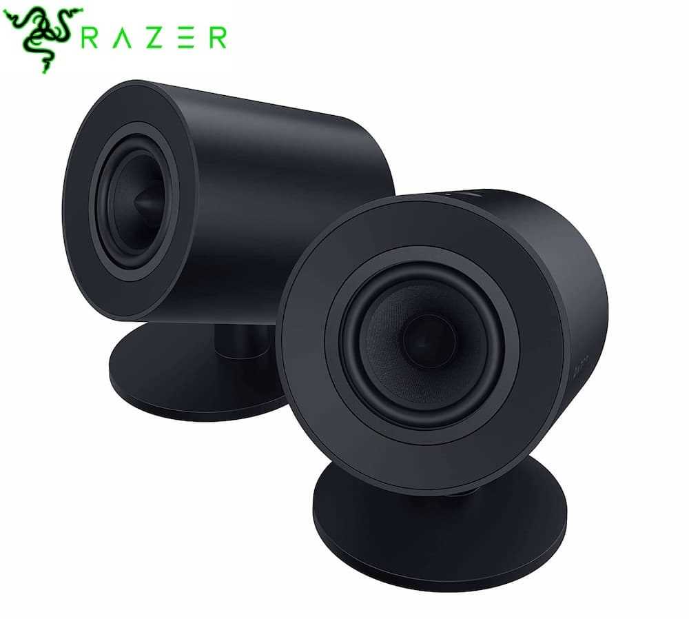 Razer RZ05-04760100-R3G1 V2 X Full-Range 2.0 PC Gaming Speakers (Black)