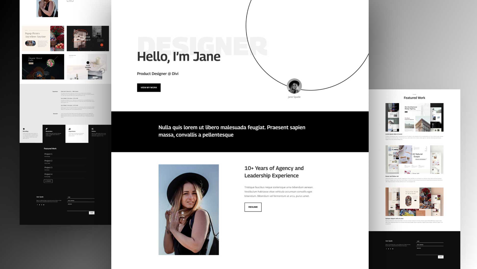 Get a FREE Portfolio Layout Pack for Divi