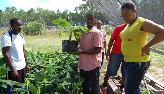 Agriculture and Marine Science Students Start Classes in North Andros