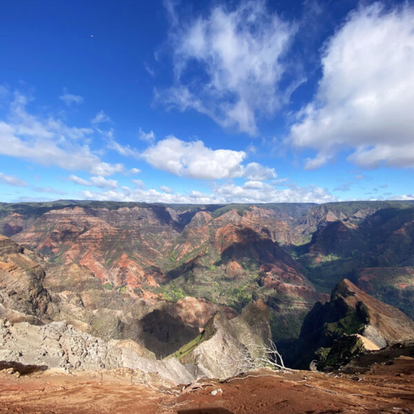 Waimea Canyon, a must visit during your Kauai itinerary