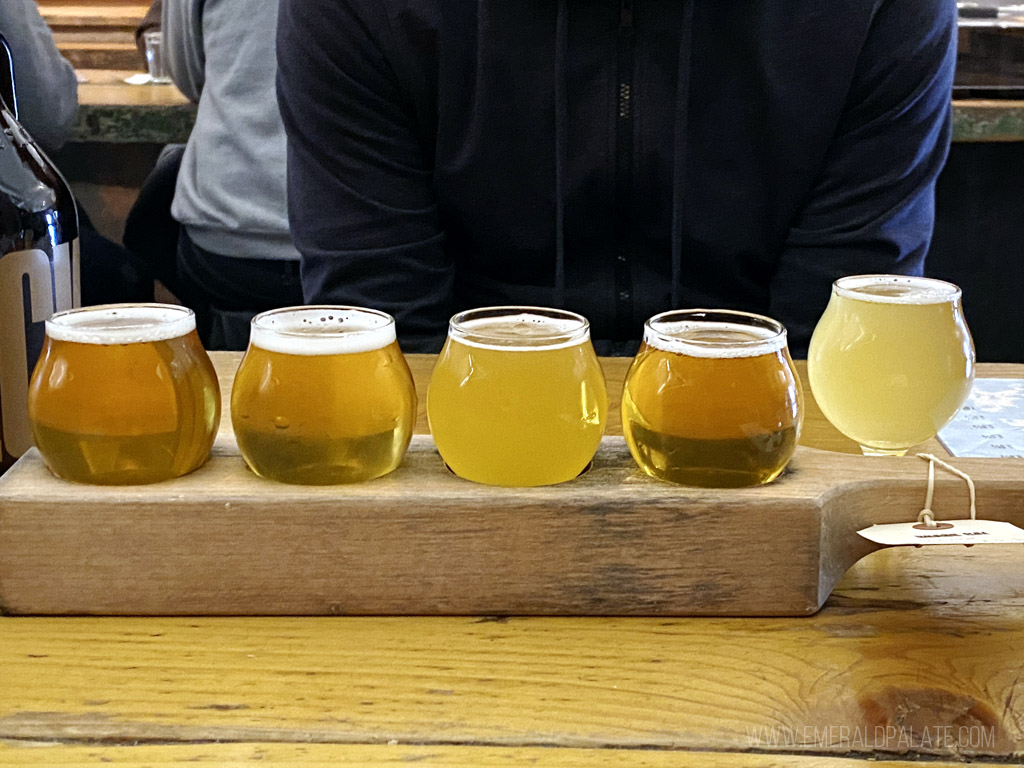 tasting flight from one of the best Seattle breweries