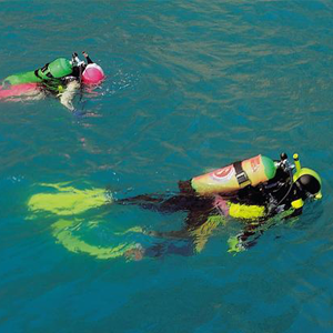 Two scuba divers with their faces down in the water