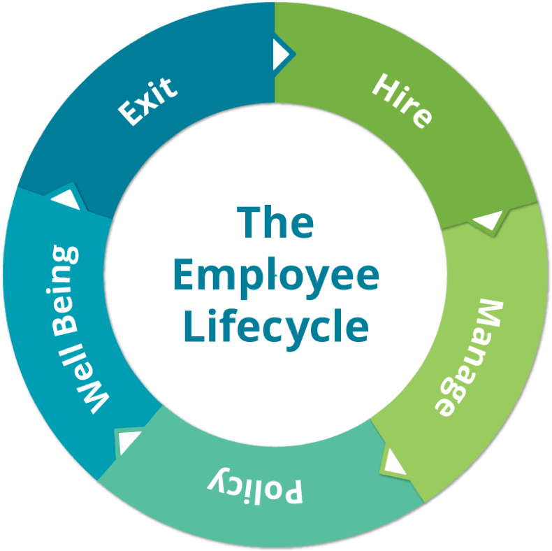 Life Cycle Of Employee