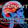 REZONANȚA – Ființe de frecvență (Documentar Tradus)