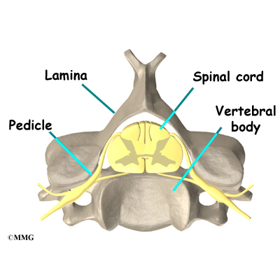 Conditions and Treatments