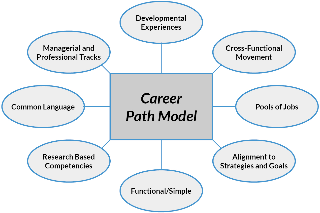 Career Pathing Infographic Visual Ly Career Pathways Career Path - Vrogue