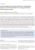 Cover page: Postnatal Ablation of Synaptic Retinoic Acid Signaling Impairs Cortical Information Processing and Sensory Discrimination in Mice