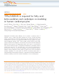 Cover page: TFPa/HADHA is required for fatty acid beta-oxidation and cardiolipin re-modeling in human cardiomyocytes