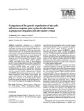 Cover page: Comparison of the genetic organization of the early salt-stress-response gene system in salt-tolerant Lophopyrum elongatum and salt-sensitive wheat