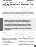 Cover page: Oncogenic ETS fusions promote DNA damage and proinflammatory responses via pericentromeric RNAs in extracellular vesicles.