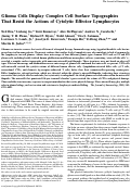 Cover page: Glioma cells display complex cell surface topographies that resist the actions of cytolytic effector lymphocytes.
