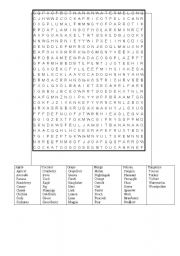 Fruits worksheets