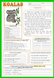 KOALAS. READING , comprehension (fully editable) + KEY