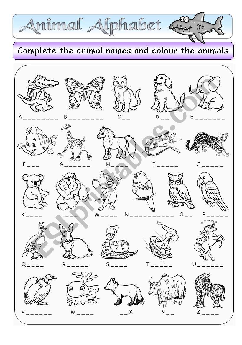 Animal Alphabet Worksheet