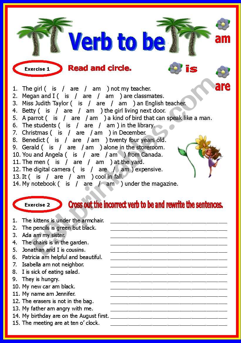 Verb Practice Worksheet