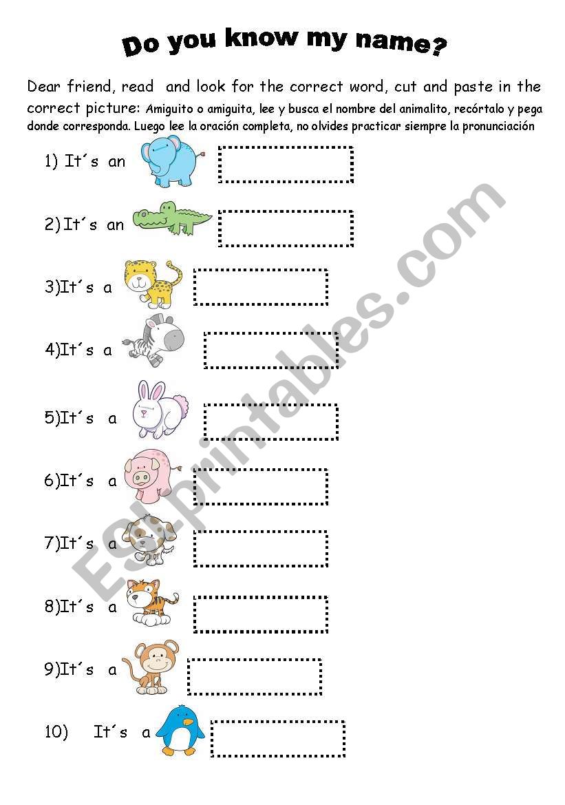 ANIMAL NAMES - ESL worksheet by RossMary