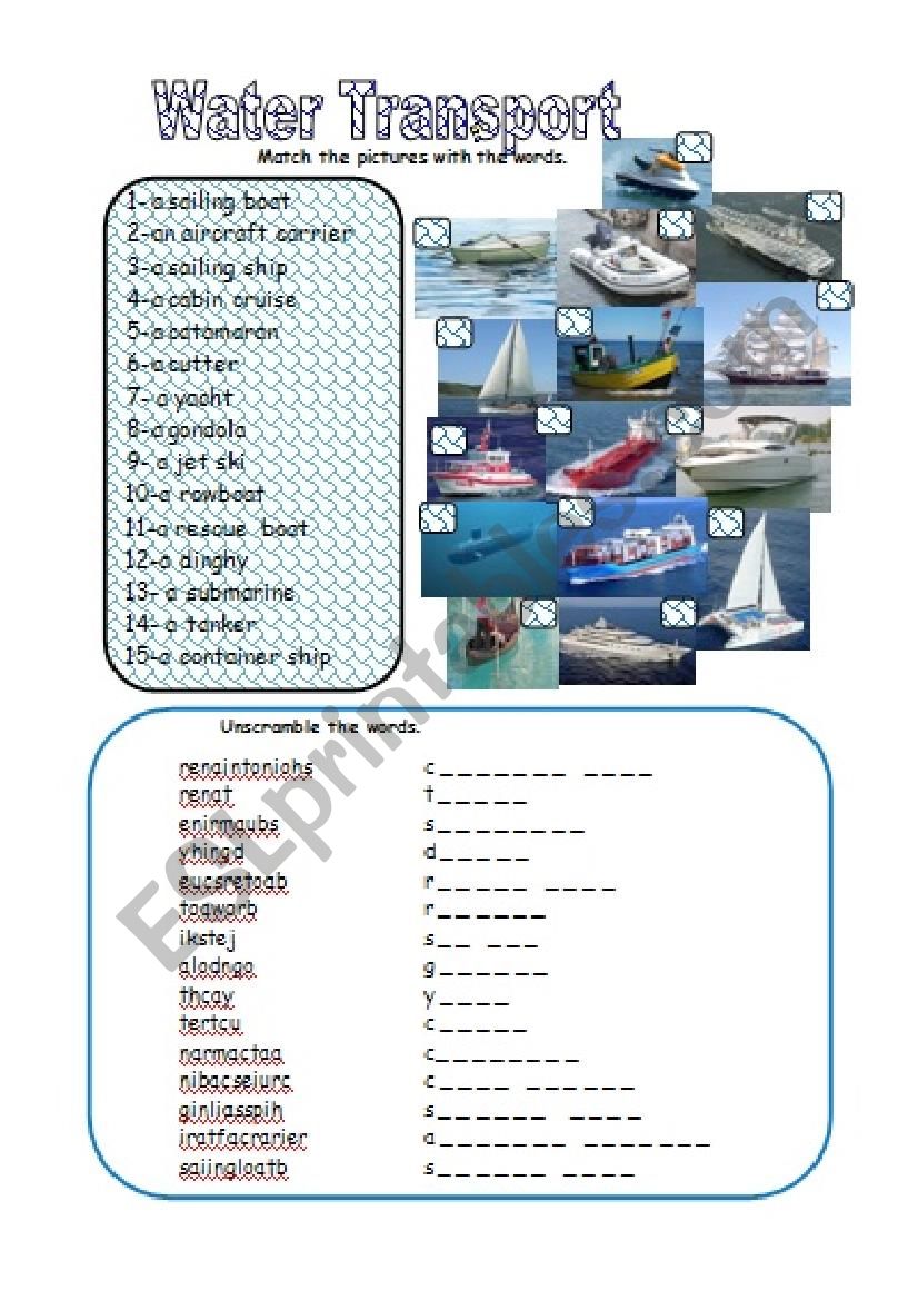 Water Transport worksheet