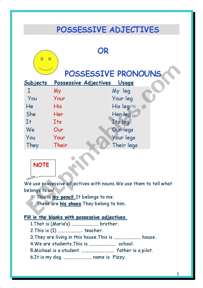 Possessive Adjectives and Possessive Pronouns - ESL worksheet by burcubayar