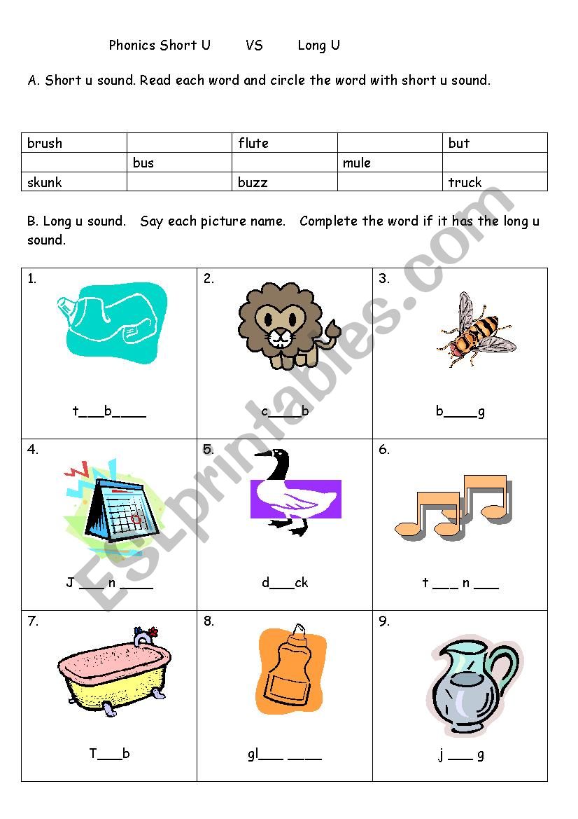 Phonics Worksheet Short u VS Long u - ESL worksheet by Angel Lin