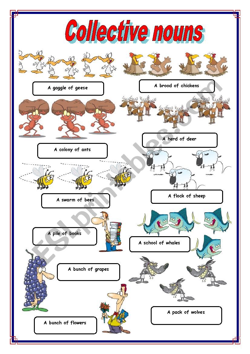 Collective Nouns Activity