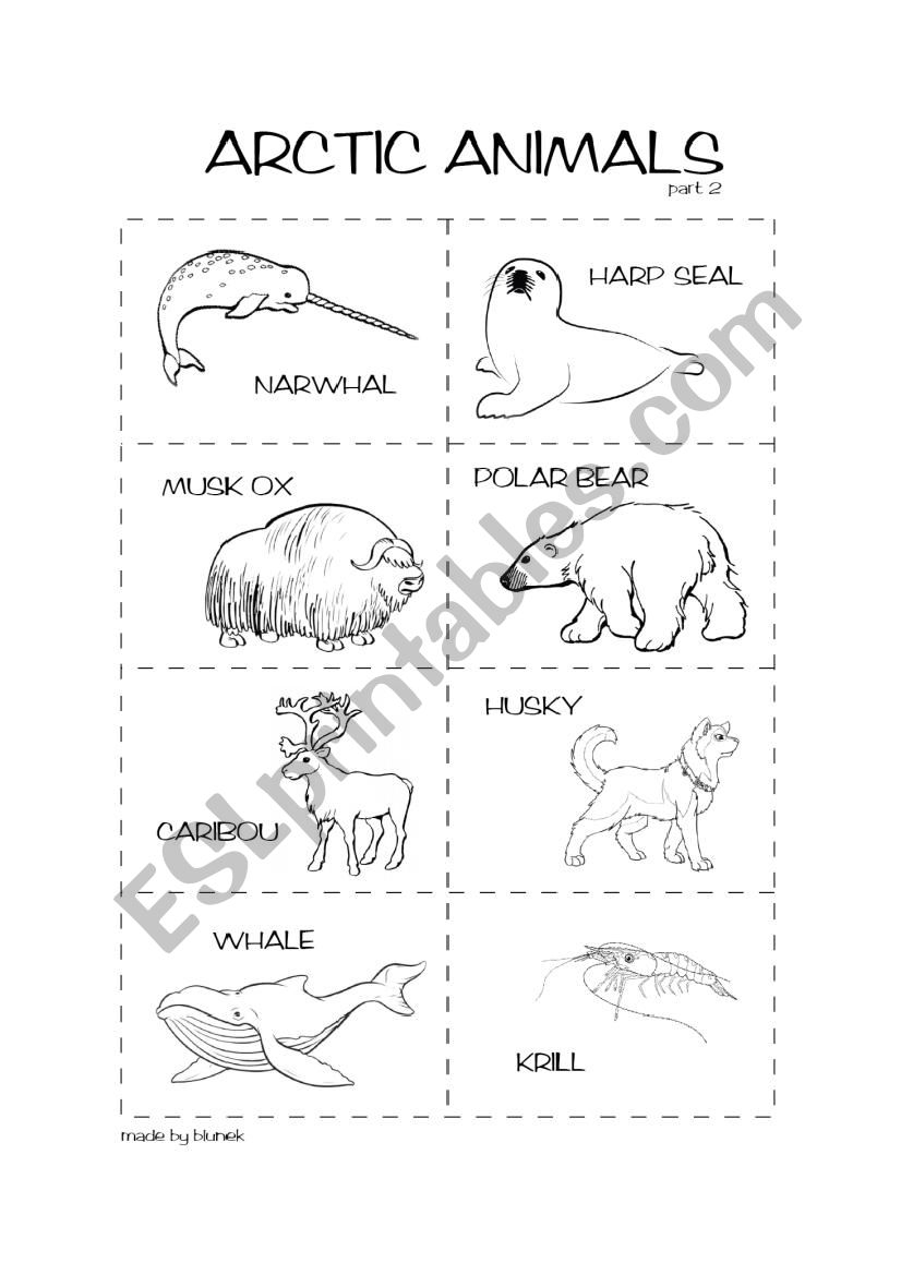 Free Arctic Animal Worksheets