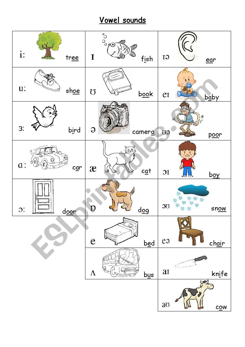 Phonetic Alphabet Exercises image.