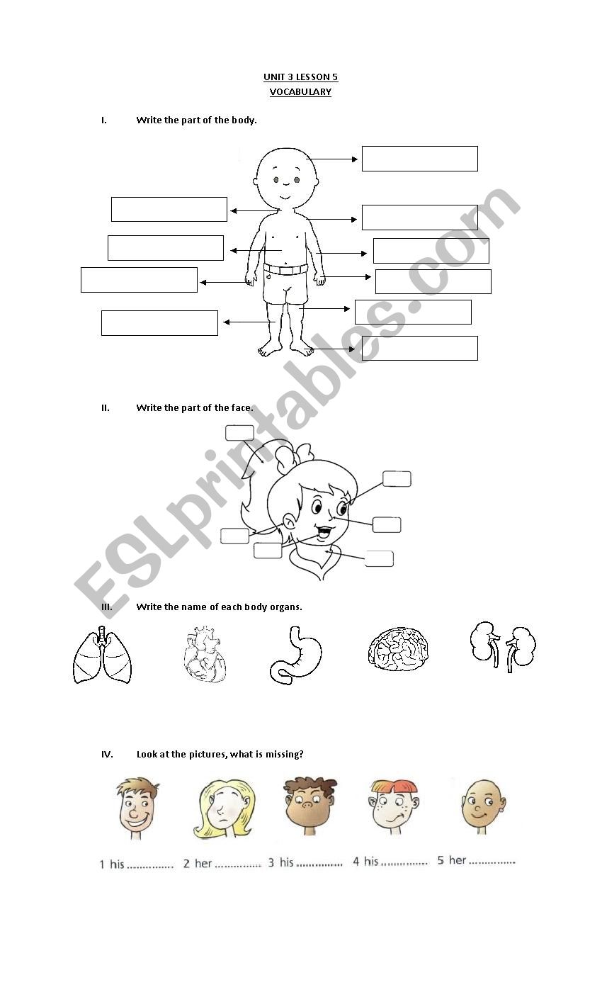 the body - ESL worksheet by betelissalde