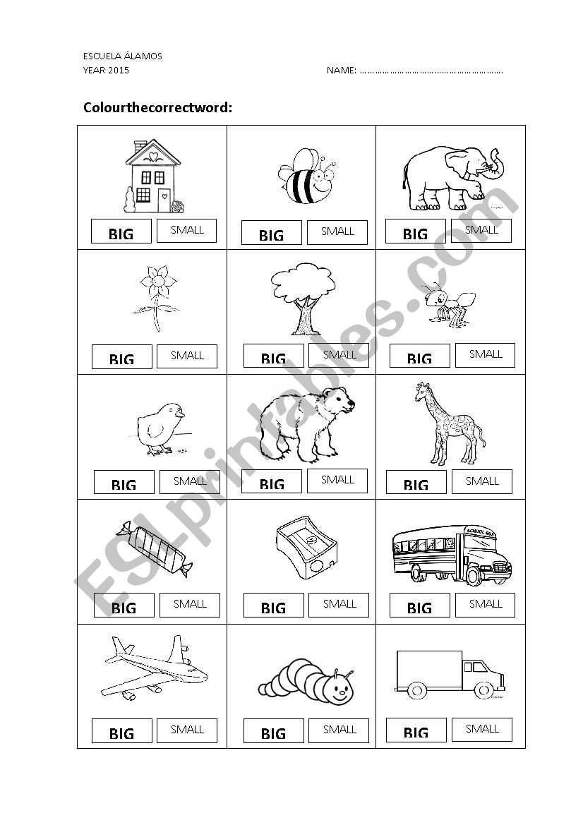 big - small - ESL worksheet by dianasuarez32