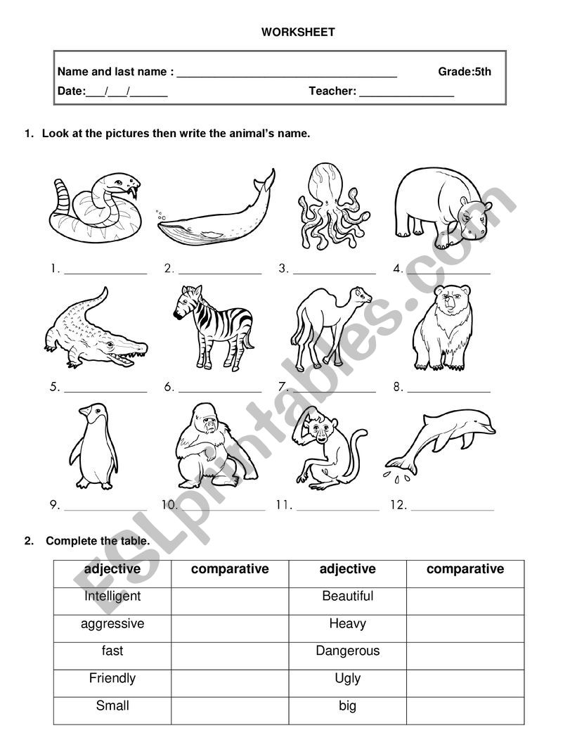 Comparative Adjectives ESL Worksheet