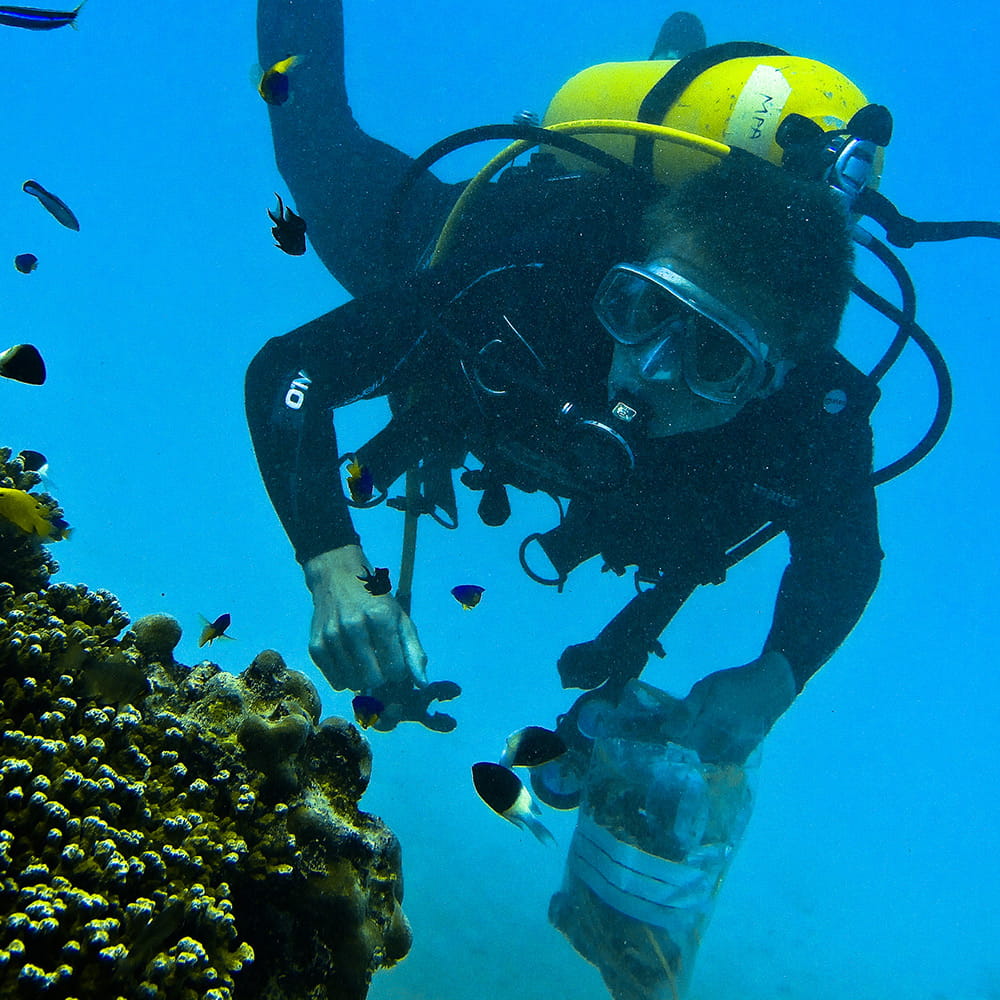 Marine biology student scuba diving on field trip