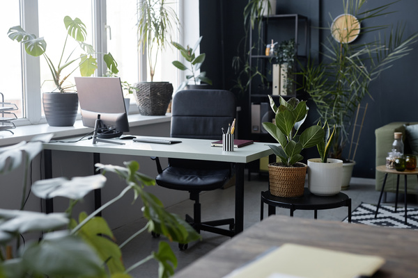 A Room with a Desk Chairs and Potted Plants