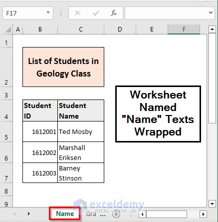 Text Inside a Specific Sheet Entirely Wrapped