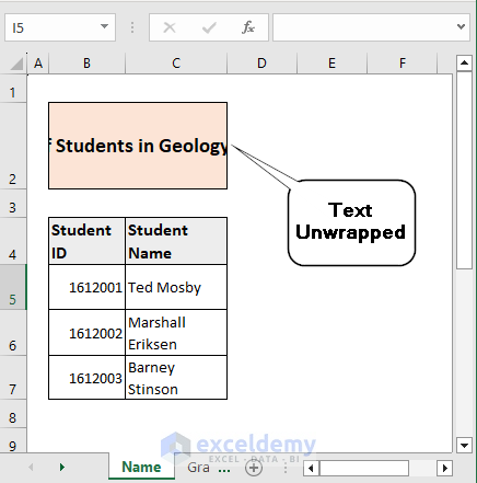 Text Inside Specific Cell Unwrapped