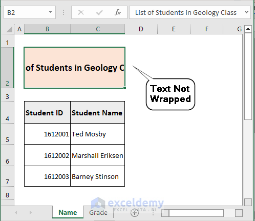 Image Before Wrapping Text Inside a Single Cell