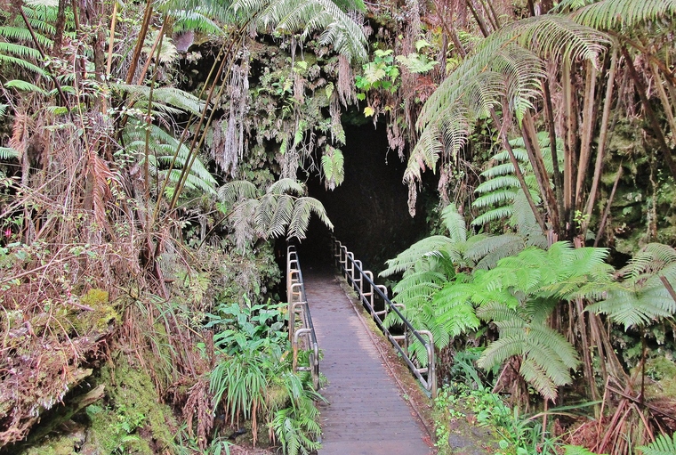 Thurston Lava Tube entrance