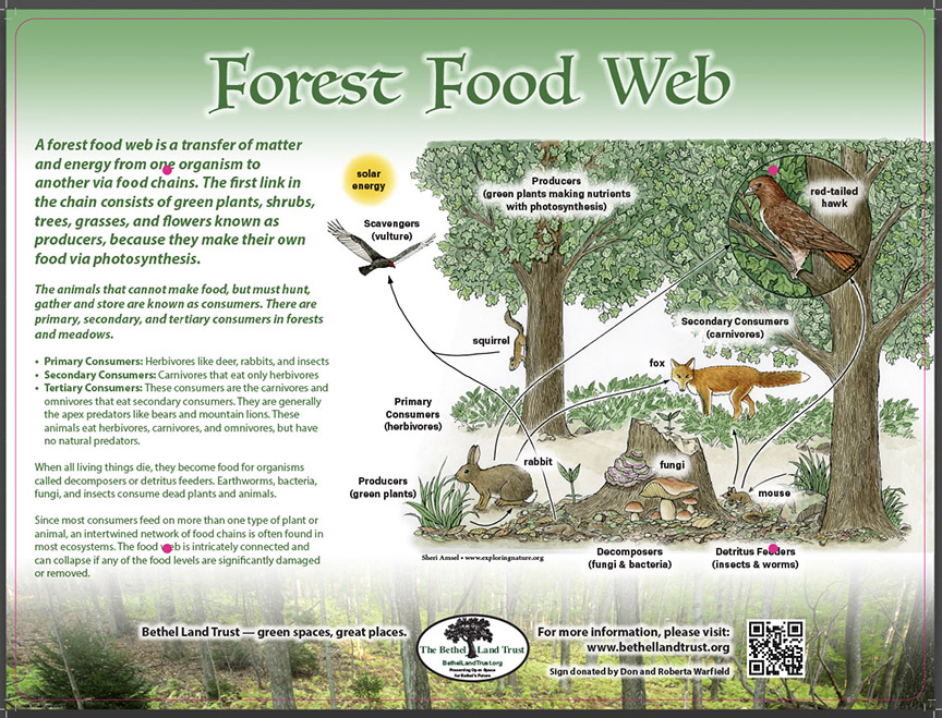 Nature Trail Signage for Your School, Nature Center, or Town