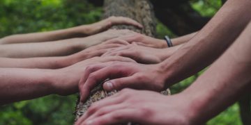 a group of people holding hands on top of a tree