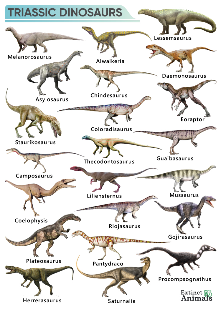 Organisms And Environment Triassic Period