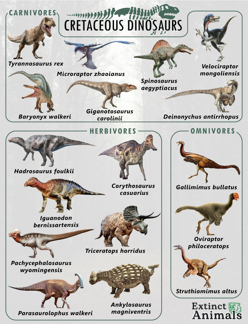 Cretaceous Dinosaurs – Facts, List, Pictures