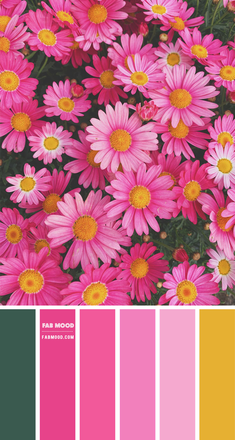 Mustard and Pink Colour Scheme – Colour Palette #80