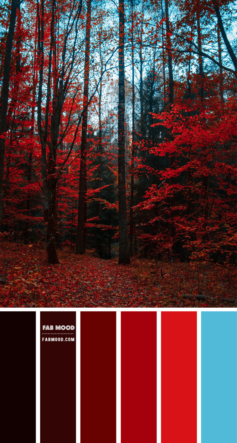 Red Autumn Colour Scheme – Colour Palette #78