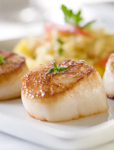 Scallops