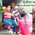 A Visit to the Farm and a Lakeside Picnic with the Kids