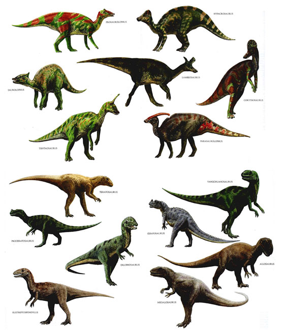 Dinosaur Facts: 29 Facts about Dinosaurs ←FACTSlides→