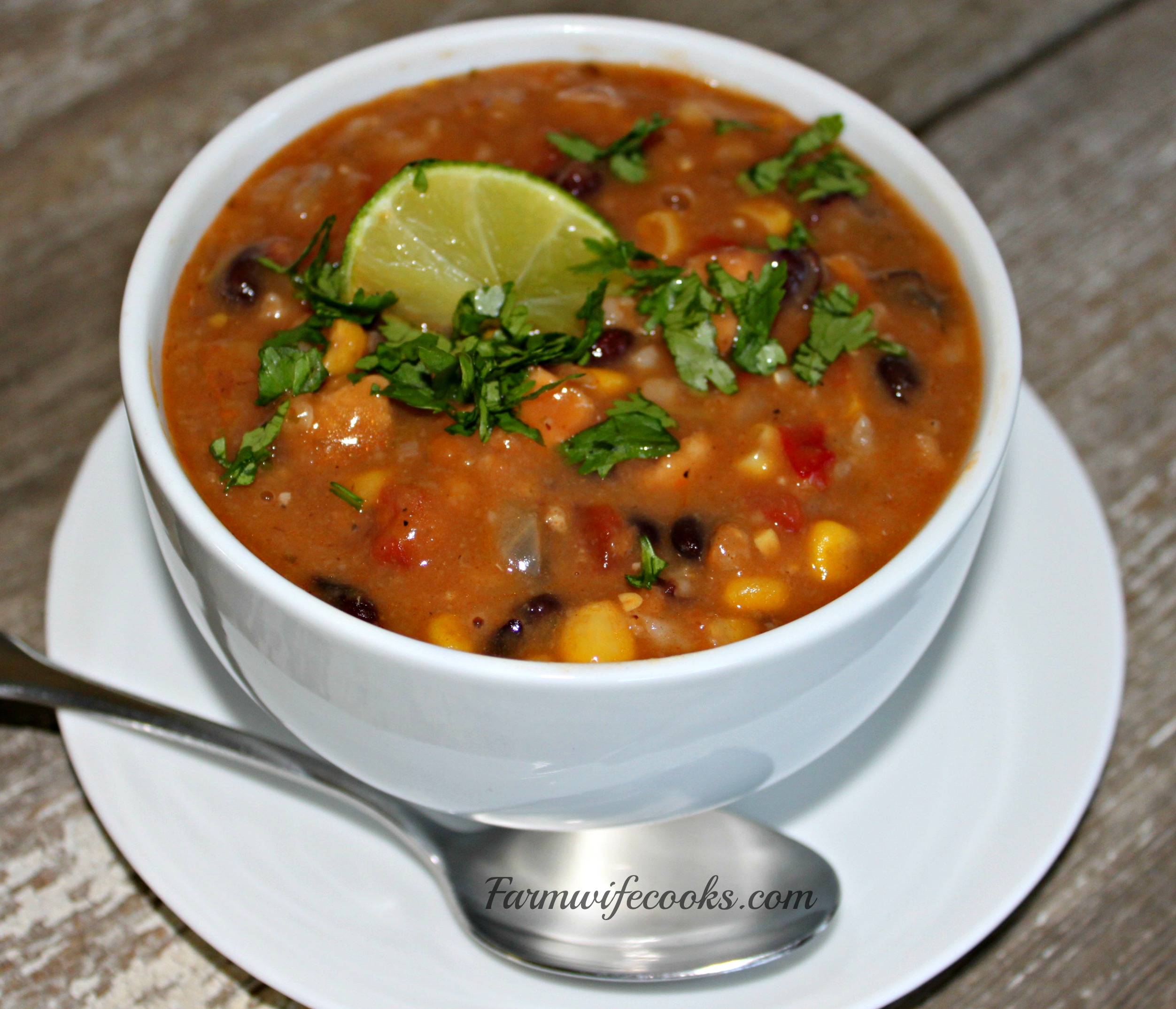 Are you looking for a great slow cooker soup recipe? This Fiesta Chicken Chowder has great flavor and is hearty enough to serve as a complete meal.