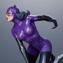 DC Comics: Catwoman Purple Edition