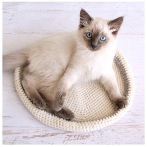 Crochet Cat Bed