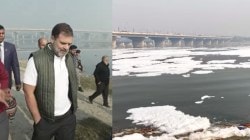 Delhi Assembly Elections 2025: Rahul Gandhi slams Arvind Kejriwal over Yamuna promises, asks ‘when will you take a dip’ | Watch